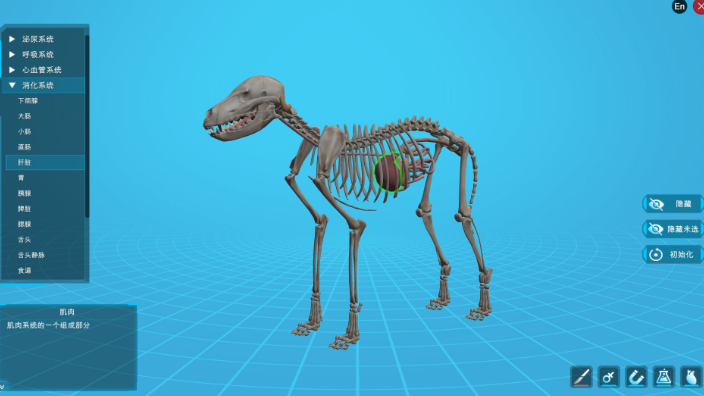 犬解剖虚拟仿真系统哪家好用,畜牧业教学软件