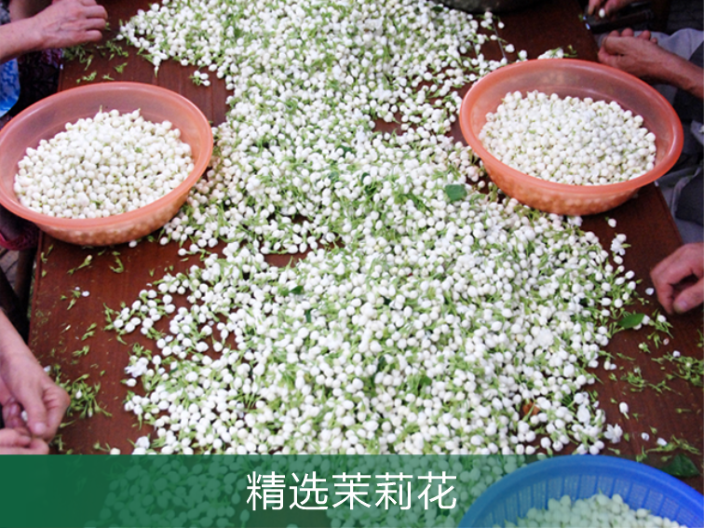 花都区茉莉花纯露 广州原渡生物科技供应