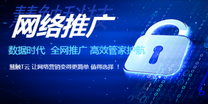 金鳳區本地品牌營銷價格 慧觸信息科技供應