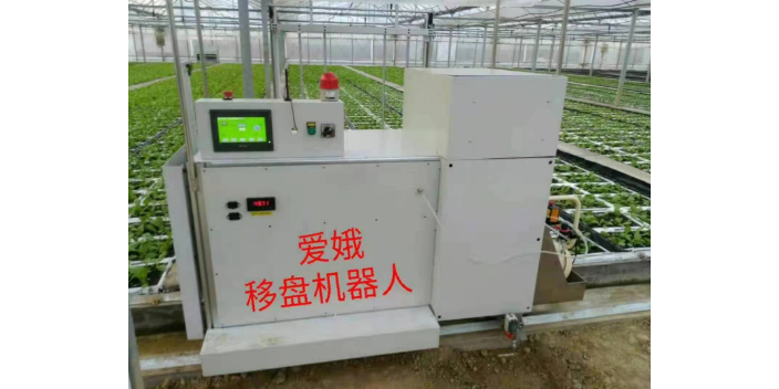 鎮江飯館蔬菜配送APP軟件 創造輝煌 上海愛娥蔬菜種植供應