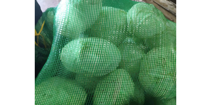 上海城市蔬菜配送APP软件 诚信服务 上海爱娥蔬菜种植供应;