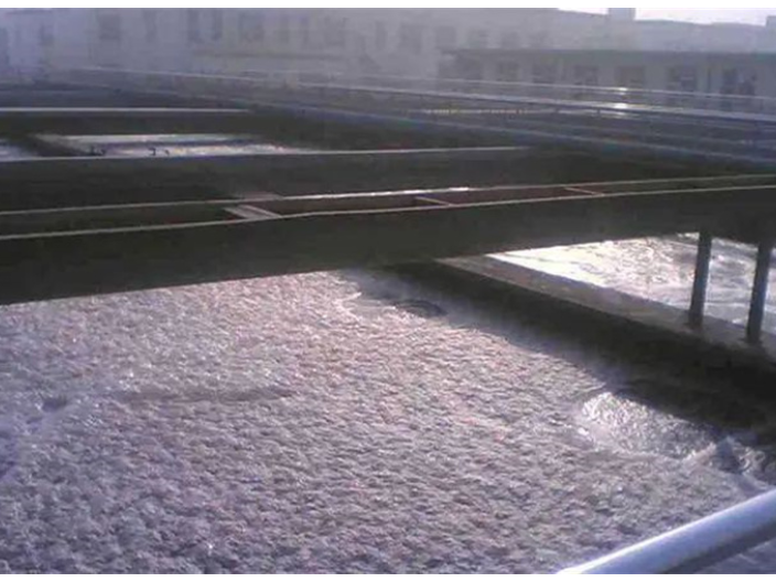 惠州高盐废水生化厂家 碳之源生物材料供应;