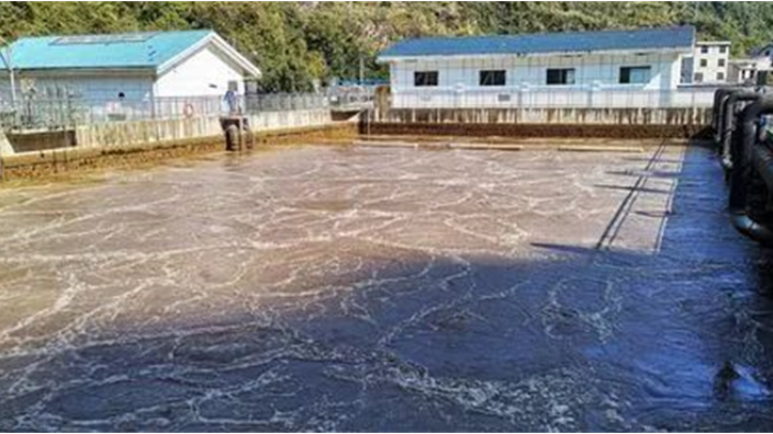 中山生物氨氮去除厂家电话