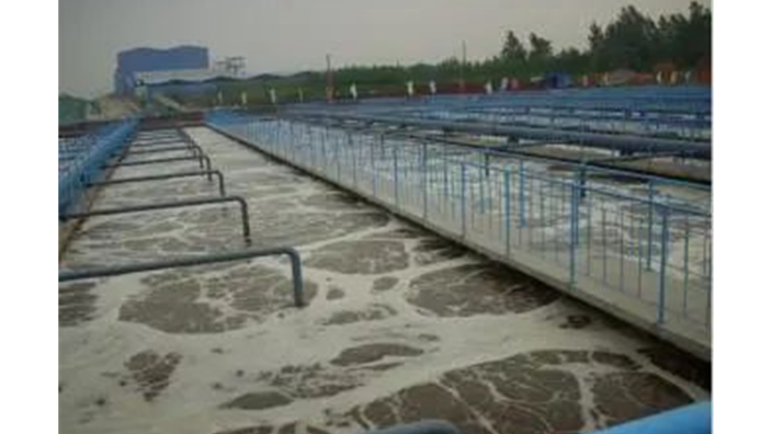 惠州水产氨氮去除报价 碳之源生物材料供应