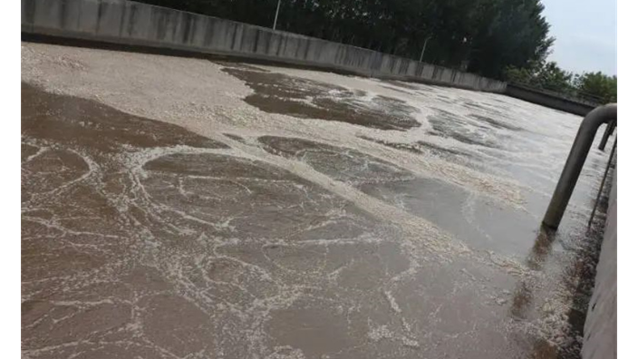广州印染废水总氮去除