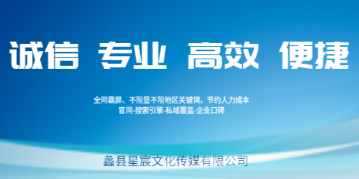 莲池区哪些网站建设SEO有哪些,网站建设SEO