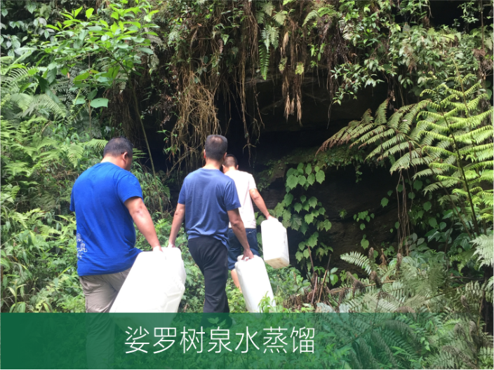 霜原料自有基地