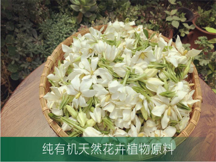 花膏原料花卉基地