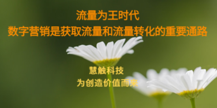 銀川本地整體網(wǎng)絡(luò)營(yíng)銷(xiāo)解決方案 慧觸信息科技供應(yīng)