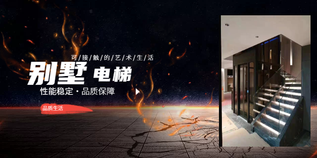 深圳進口家用別墅電梯品牌 歡迎來電 深圳威賓電梯供應