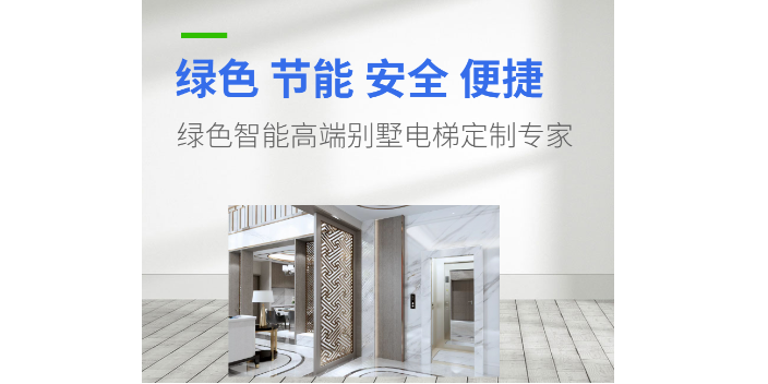 广东现代家用别墅电梯安装