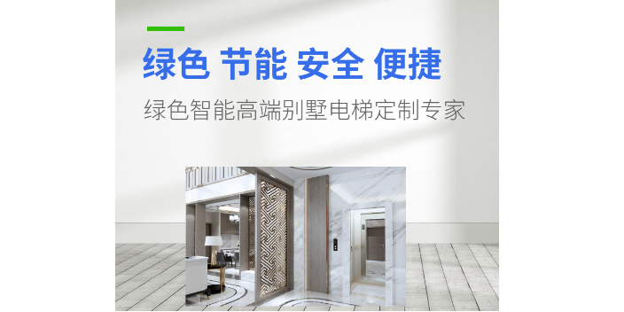 深圳无机房家用别墅电梯厂 服务至上 深圳威宾电梯供应;