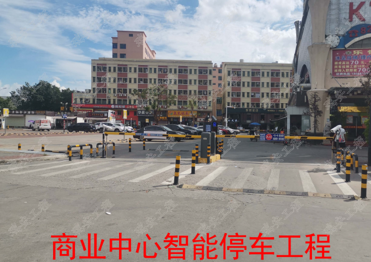 东莞市超市智能停车设计 欢迎咨询 东莞市瑞安网络工程供应