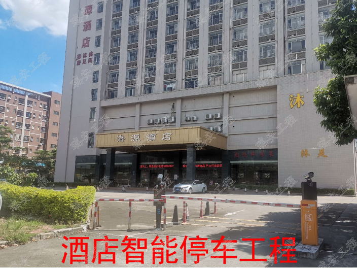 广东东莞停车场智能停车系统 诚信服务 东莞市瑞安网络工程供应