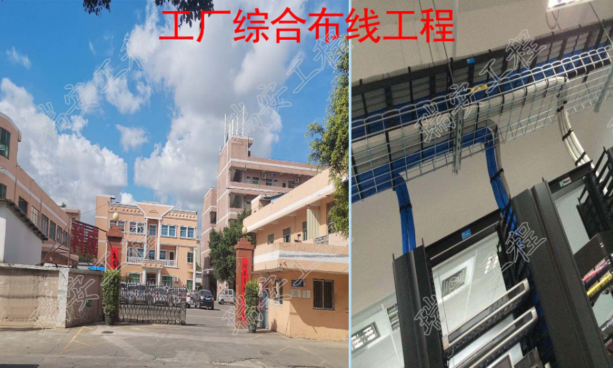 东莞写字楼综合布线平台 欢迎咨询 东莞市瑞安网络工程供应