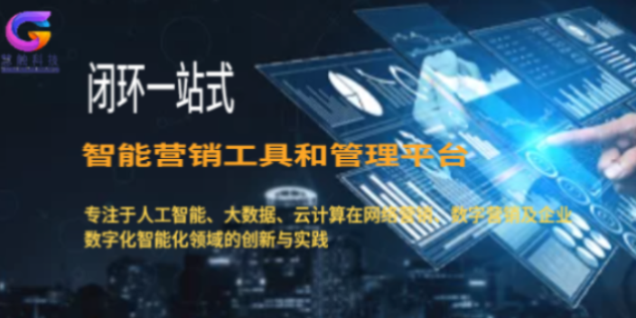 金凤区一站式平台搭建电话 慧触信息科技供应