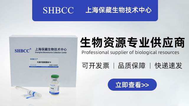 黄色链霉菌 欢迎咨询 上海保藏生物技供应;