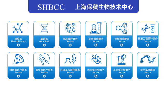 海南吉尔霉 诚信为本 上海保藏微生物供应