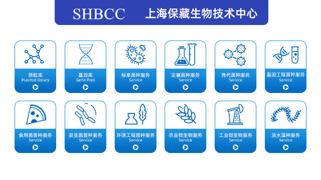 甲型溶血性链球菌 欢迎来电 上海保藏微生物中心供应;
