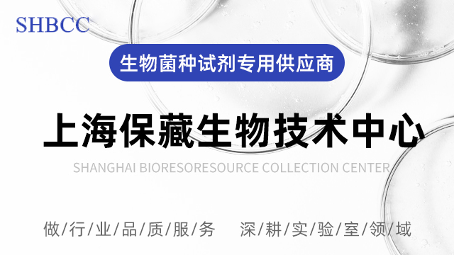 猪丹毒丝菌 值得信赖 上海保藏生物技供应;