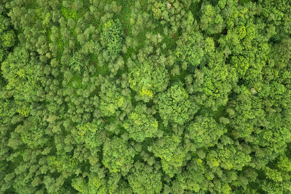 新勢(shì)力：多個(gè)行業(yè)向碳減排和碳吸收綠色農(nóng)業(yè)方向發(fā)展