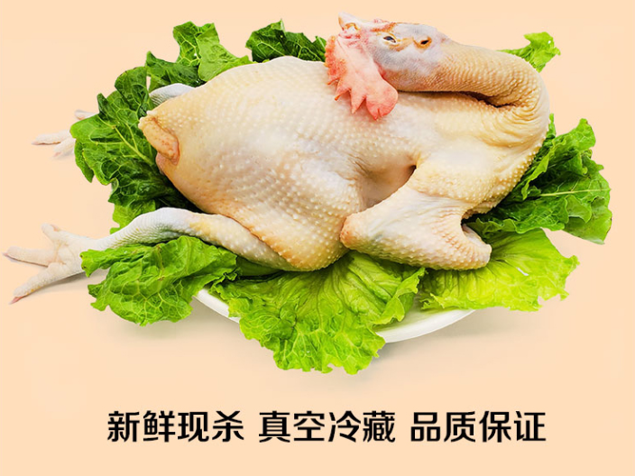 黄埔区广西玉州三黄鸡水蒸鸡品牌排行榜