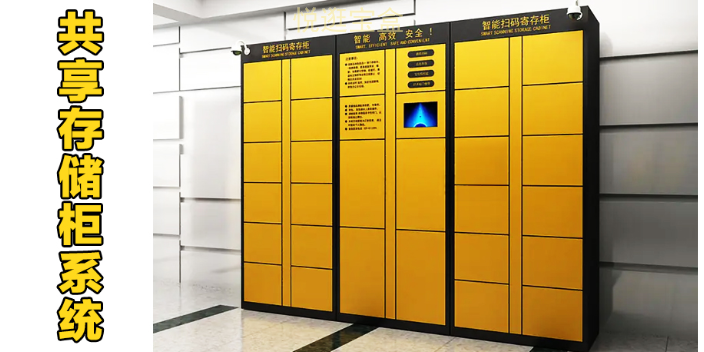 湖南會所儲物柜軟件開發,儲物柜