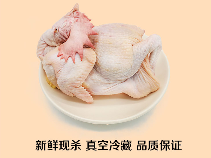 海珠区即烹的水蒸鸡生产企业
