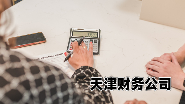 天津财务公司记账报税 中税正洁税务师事务所供应