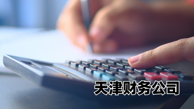 北辰区中税正洁财务公司审计报告