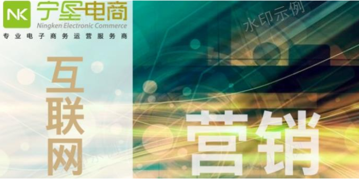 银川互联网营销经典案例 宁夏中网科技电子商务供应;