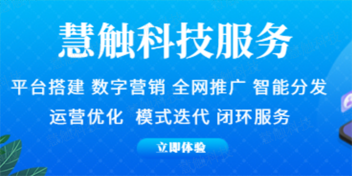 西夏区一站式全网营销如何做 慧触信息科技供应