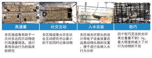 特殊多区域应用