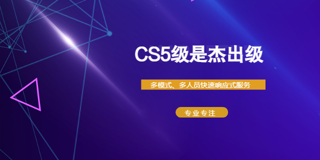 上海信息系统建设和服务能力评估CS四级  上海爱应科技服务供应;