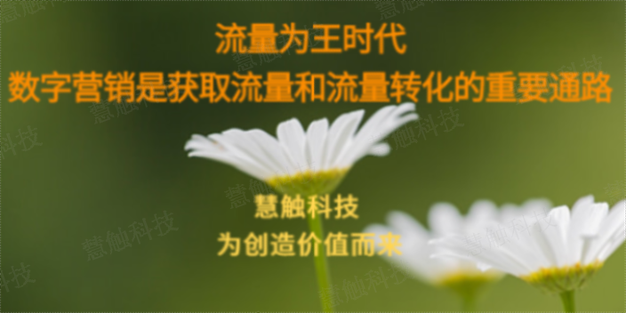 中卫网络营销公司