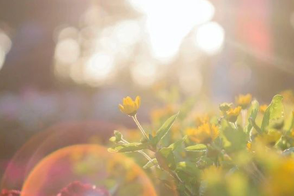 汗水淋漓，烈日下的核酸檢測(cè)