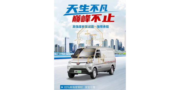 河源迷你新能源汽車平板電卡