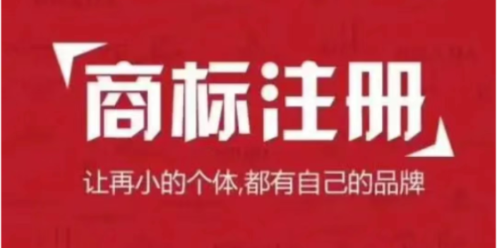 怎样专业网络服务哪个好 全网获客 衡水臻云信息科技供应