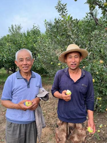 香港五点来料资料