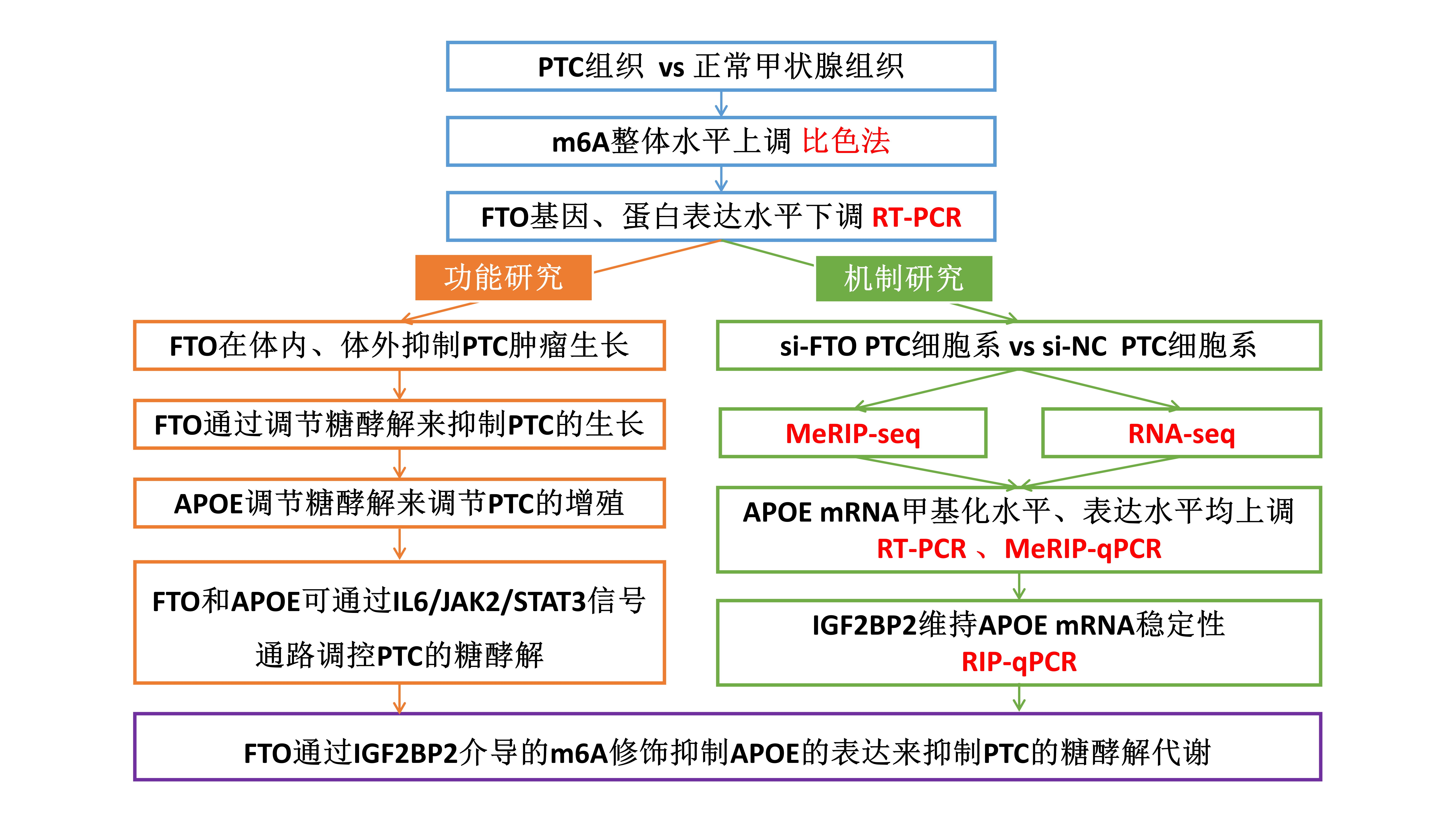 技术路线.png