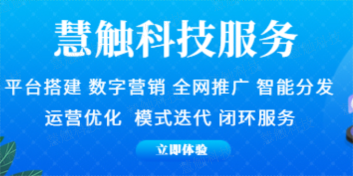 金凤区一站式网站建设推广 慧触信息科技供应