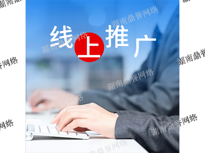 湘潭SEO搜索引擎推广方式 欢迎来电 湖南鼎誉网络科技供应