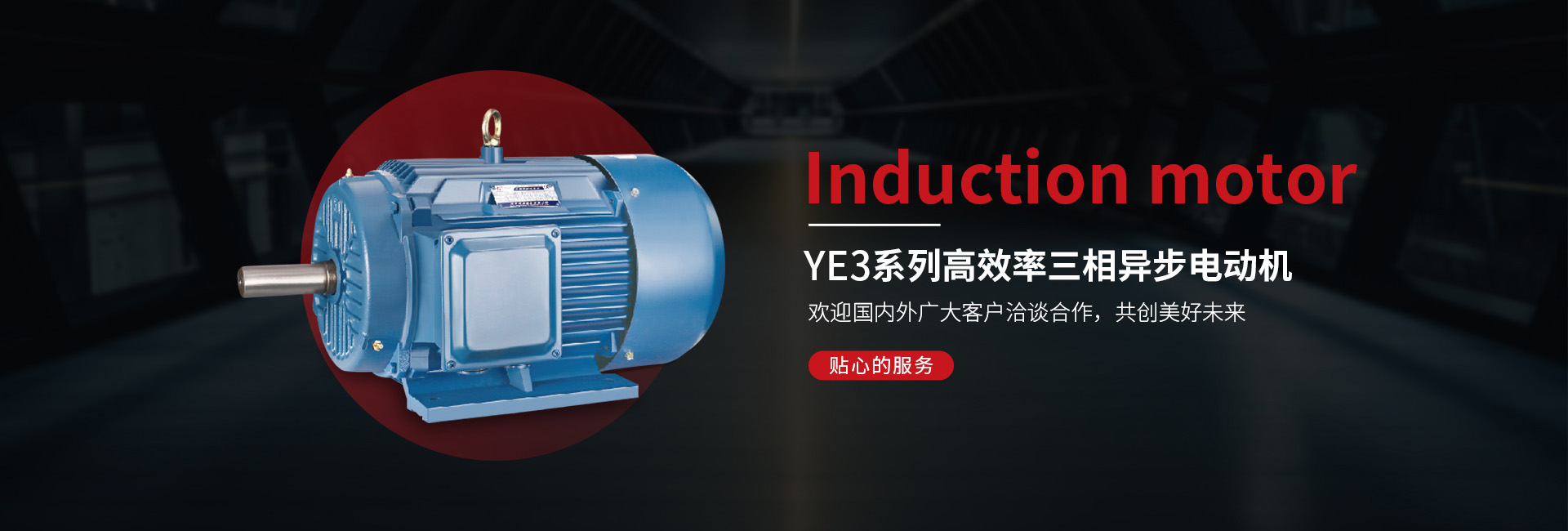 YE3系列高效率三相異步電動(dòng)機(jī)