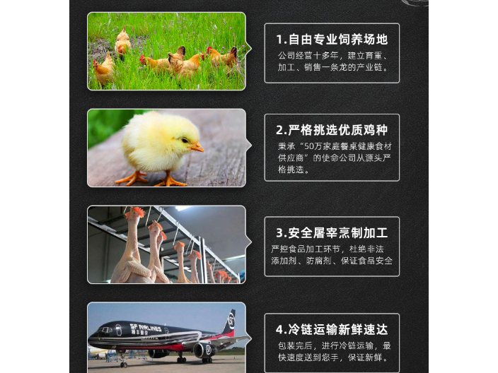 龙川鲜丛农预制调味水蒸鸡生产企业 梧州市楚鑫电子科技供应;