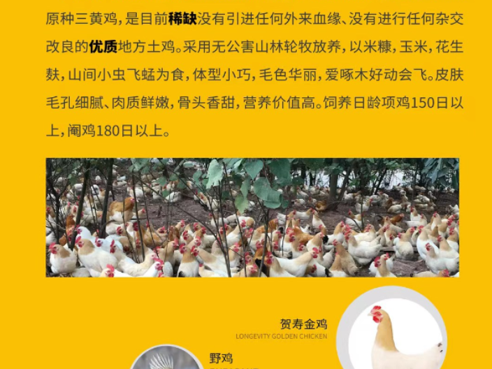 罗湖区预制水蒸鸡生产企业 梧州市楚鑫电子科技供应