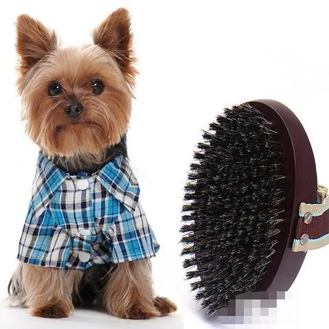 Pet Grooming Brushes