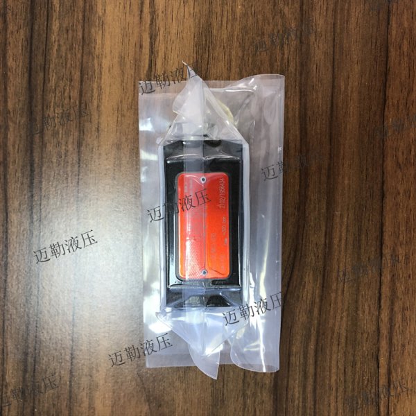 先導液控單向閥2RJV1-06/M