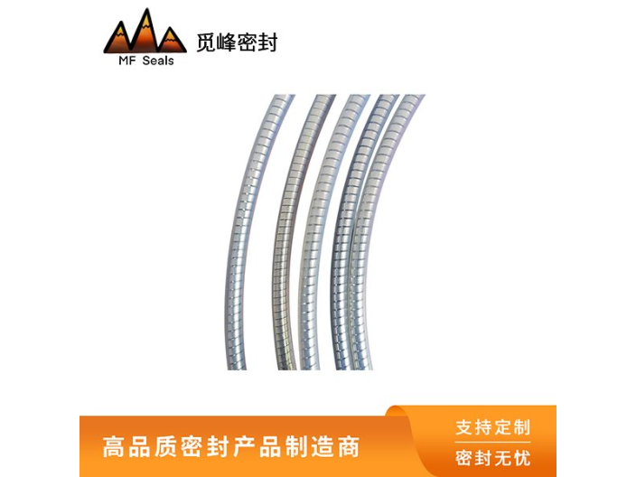 海南弹簧蓄能密封圈 宁波觅峰密封科技供应;