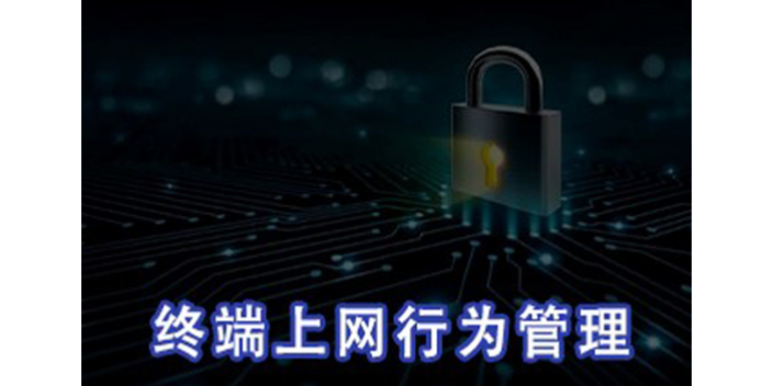 上海一款好用上网行为管控多少钱 服务为先 上海迅软信息科技供应