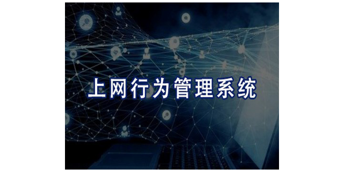 上海哪款上网行为管控一般多少钱 欢迎来电 上海迅软信息科技供应